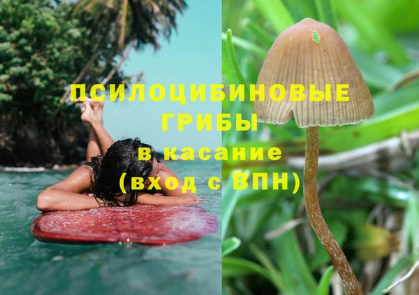 первитин Лиски