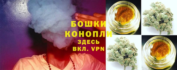 первитин Лиски