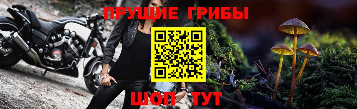 Урус-Мартан  Галлюциногенные грибы мицелий  Псилоцибиновые грибы мухоморы  Вход с VPN 